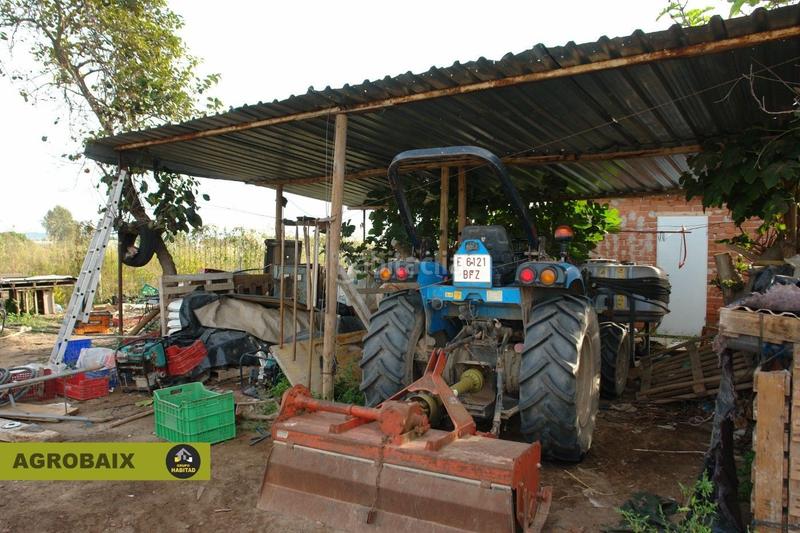 Foto b7558a8f-2fac-4adb-bcac-f4ad71fb75b3. Finca rústica con luz de compañía en Passeig Maragall Gavà