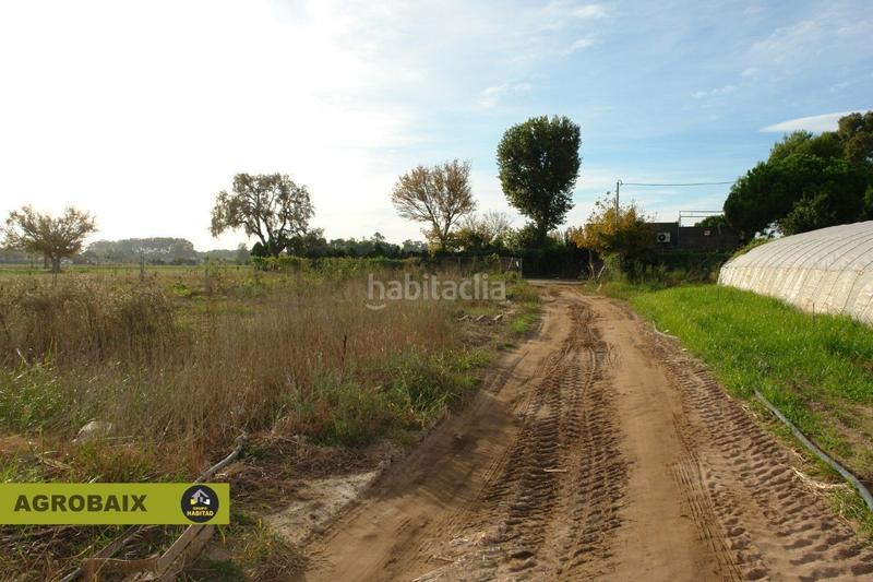 Foto d8c18aa5-c8df-4b81-9678-1147d2d10a2c. Finca rústica con luz de compañía en Passeig Maragall Gavà