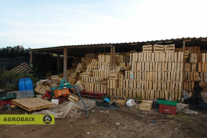 Foto dd59e625-016e-44ab-9c3e-80c1dd52ebdc. Finca rústica con luz de compañía en Passeig Maragall Gavà