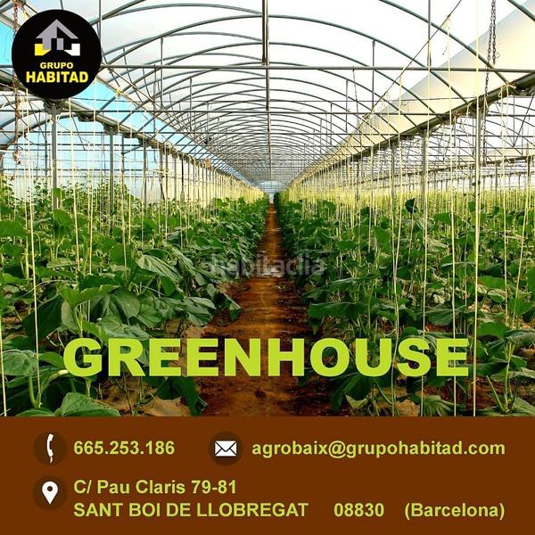 Foto e03e7d39-d97f-4719-a80f-2aa567aeb699. Finca rústica con luz de compañía en Passeig Maragall Gavà