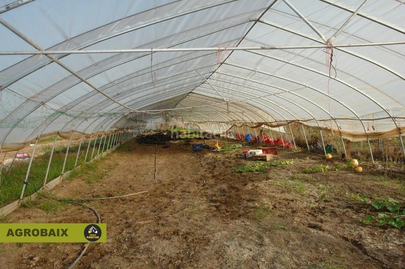 Foto f778173f-d932-4387-ab6d-9a4c795b7081. Finca rústica con luz de compañía en Passeig Maragall Gavà
