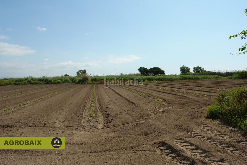 Foto 0fa91ac6-cdaa-440e-8db0-b666df118593. Finca rústica a Passeig Maragall Gavà