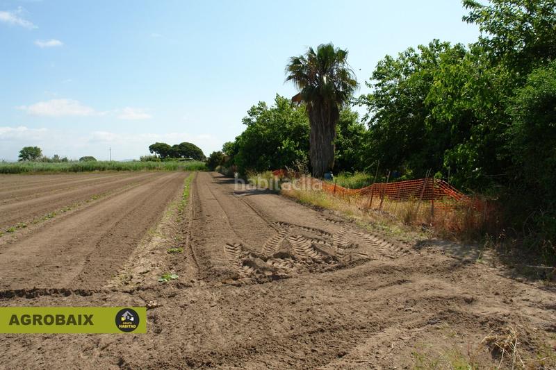 Foto 3c5859b6-69cc-4613-a569-3709ad6f1ecd. Finca rústica a Passeig Maragall Gavà