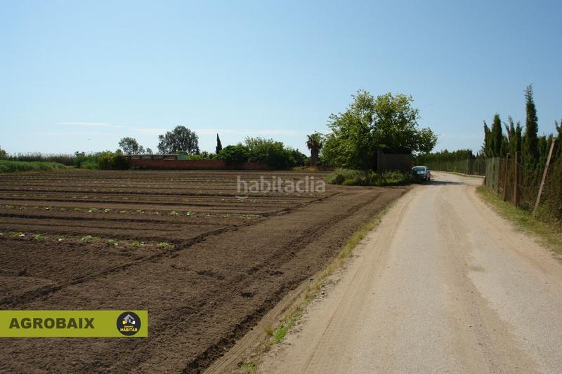 Foto 69cd625b-c59d-4b1a-9c91-0c75a9a68457. Finca rústica a Passeig Maragall Gavà