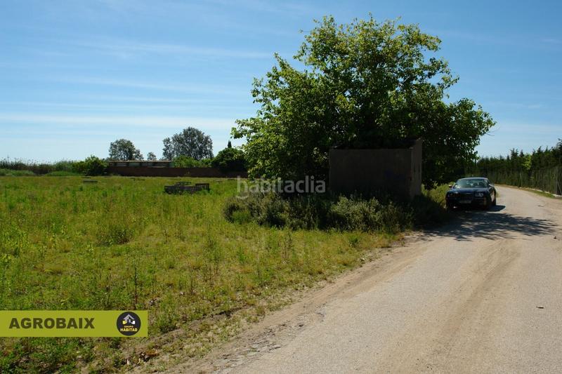 Foto 7140881c-fd6a-4b8f-86a7-6664aa0acdf1. Finca rústica a Passeig Maragall Gavà