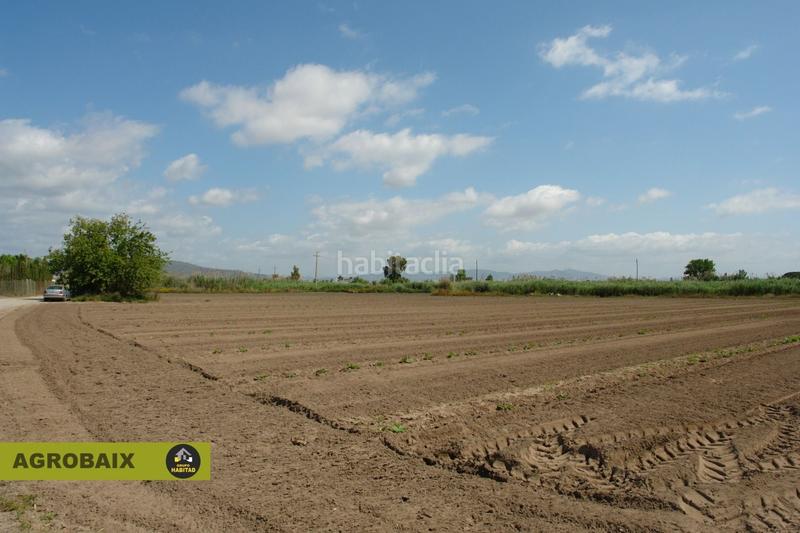 Foto 81c82181-9bfc-4eb4-ab12-d8b01dc3198f. Finca rústica a Passeig Maragall Gavà