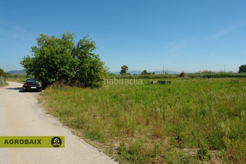 Foto 81ca7413-8005-4414-9476-9447871e3320. Finca rústica a Passeig Maragall Gavà