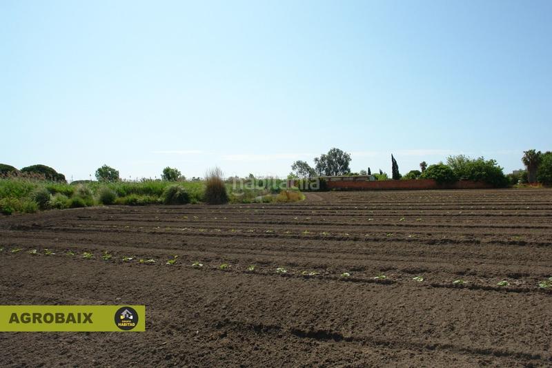 Foto 8210ceb6-ba18-4171-b28a-9a9ab432da58. Finca rústica a Passeig Maragall Gavà