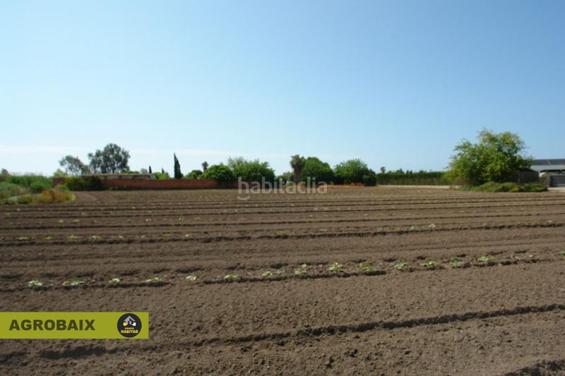 Foto 90e00569-6982-4dae-a428-15316ee1e55a. Finca rústica a Passeig Maragall Gavà