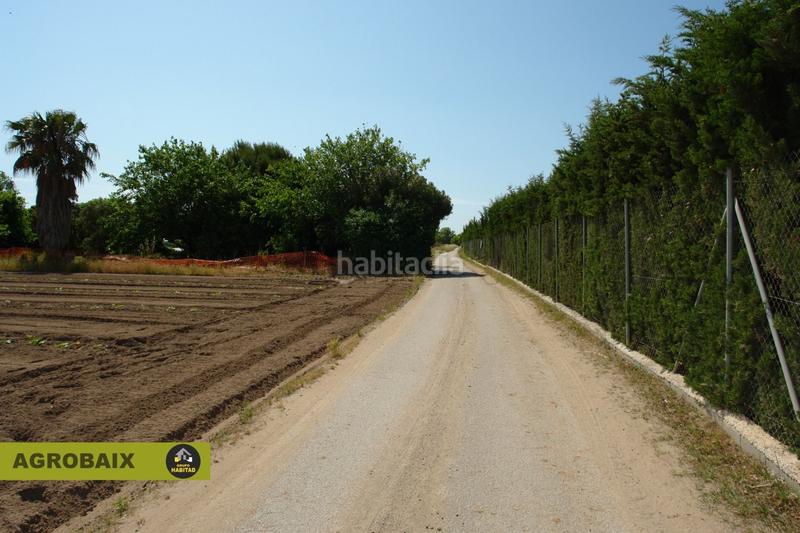 Foto 91a3e317-148a-4fff-b21e-81481e5ac0f6. Finca rústica a Passeig Maragall Gavà