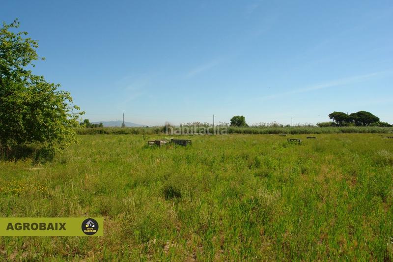 Foto a17be354-43e7-47e2-8730-d8a1dfa28c02. Finca rústica a Passeig Maragall Gavà