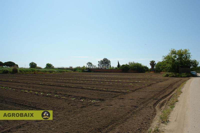 Foto af5e25b7-4452-42ba-93ac-fdd0717016aa. Finca rústica a Passeig Maragall Gavà