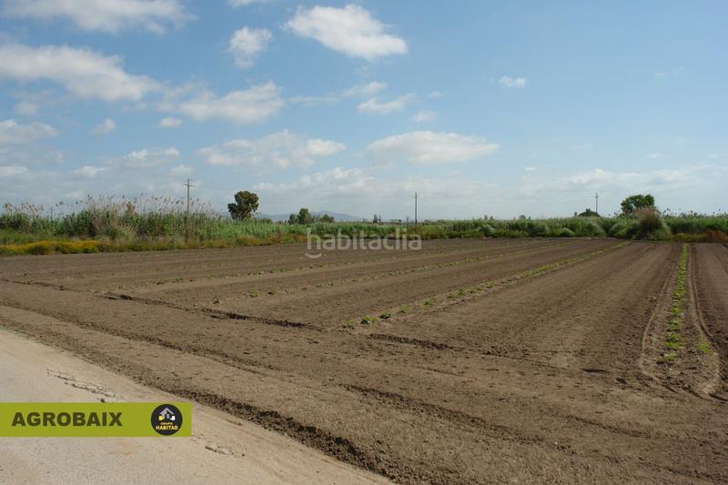 Foto bf58db24-f1f4-4d50-b05c-16e4e457b1ef. Finca rústica a Passeig Maragall Gavà