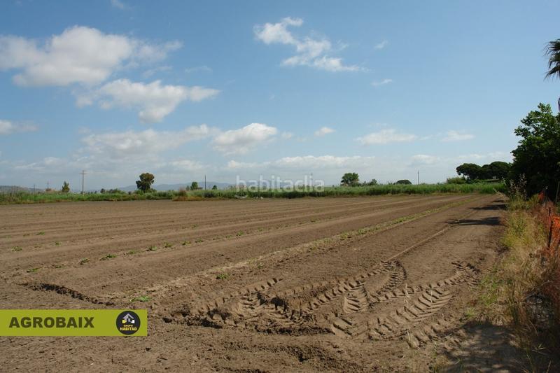 Foto daa47a2f-ff23-49f5-a095-47a7d21274fe. Finca rústica a Passeig Maragall Gavà