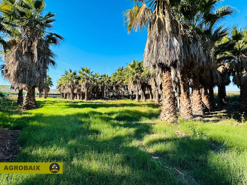 Foto 7fc9b06a-58a7-4333-b2da-6e2992d05a9c. Propriété dans Eixample Sant Joan Despí
