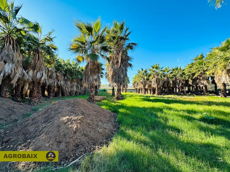 Foto c3f6e5e0-50ed-4db3-b4f7-bc5a20f24f9b. Propriété dans Eixample Sant Joan Despí