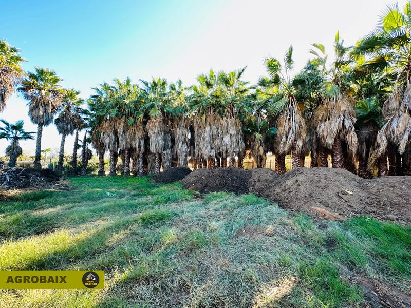 Foto 8e587720-57d6-4237-9459-9875109095bd. Finca rústica en Eixample Sant Joan Despí