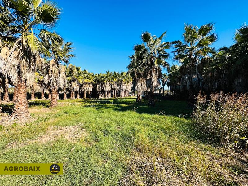 Foto b2d1e8ea-e723-41a2-ad00-036e472e8e4f. Finca rústica en Eixample Sant Joan Despí