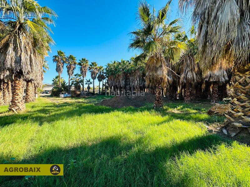 Foto b53d818e-e5d2-45af-9885-41ad0e5fd235. Finca rústica en Eixample Sant Joan Despí