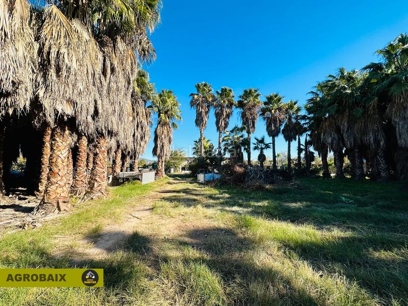 Foto c6943f6f-a4aa-4d51-86e0-23e408048212. Finca rústica en Eixample Sant Joan Despí