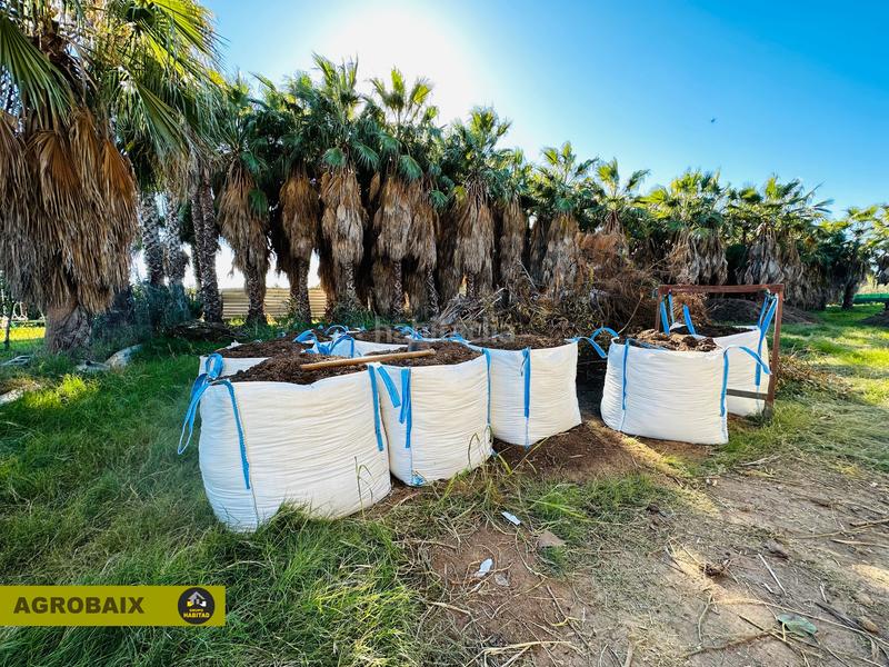 Foto ca63da67-dd7f-412b-8593-05eb65295290. Finca rústica en Eixample Sant Joan Despí