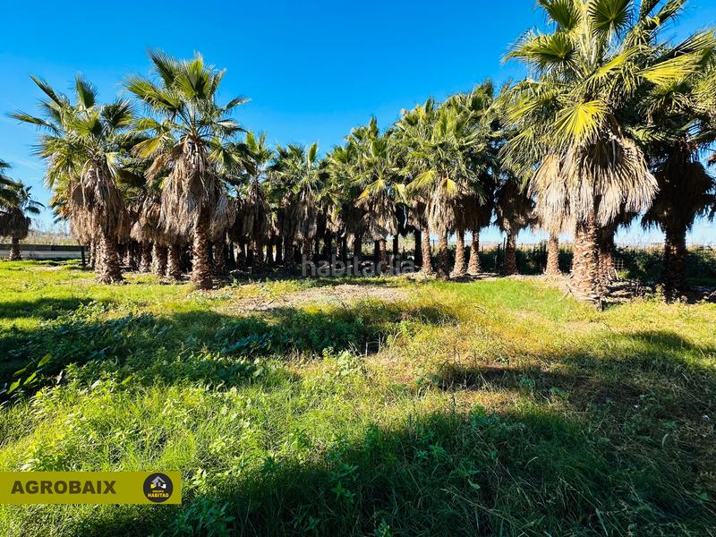 Foto ed5ecaed-771d-4d5a-95ee-a502068102cf. Finca rústica en Eixample Sant Joan Despí