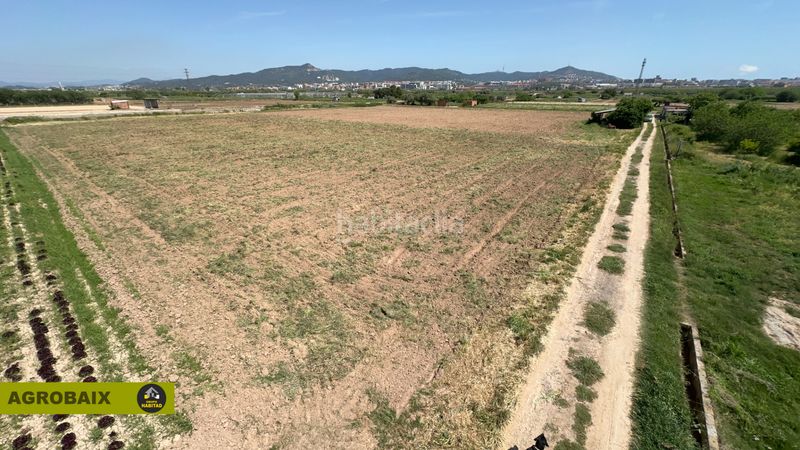 Foto 03e111d7-f3f8-4b7c-84a4-36305e41a96e. Finca rústica a Santa Coloma de Cervelló