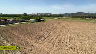 Finca rústica en Santa Coloma de Cervelló. Parcela agricola en santa coloma de cervelló