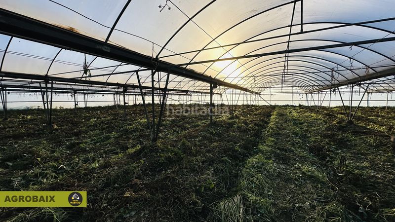 Foto 0b290f3e-4495-4051-963f-d5d7c1f3c543. Rural plot in n/a in Casablanca Sant Boi de Llobregat