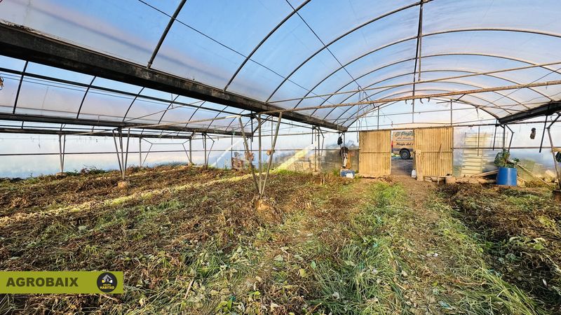Foto 15f45eab-0410-41d8-add5-c27b0c06f58f. Rural plot in n/a in Casablanca Sant Boi de Llobregat