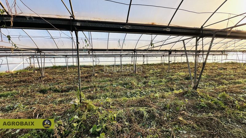 Foto 3ee16792-e741-4c2e-9b1a-dd7e2d7aa4c0. Rural plot in n/a in Casablanca Sant Boi de Llobregat