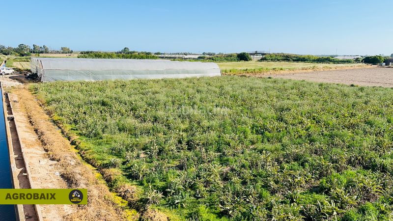 Foto 4c63d0e8-c457-49d3-a1ba-d6eea512907c. Rural plot in n/a in Casablanca Sant Boi de Llobregat