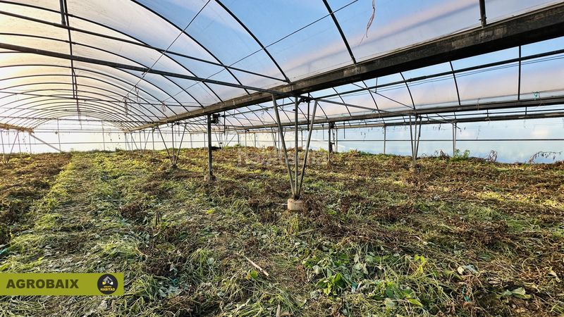Foto 534fa93d-b38c-4661-b841-6678f5cccbc2. Rural plot in n/a in Casablanca Sant Boi de Llobregat