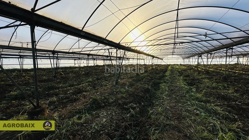 Foto ae11157b-21bd-43f9-ac9c-ef887699db93. Rural plot in n/a in Casablanca Sant Boi de Llobregat