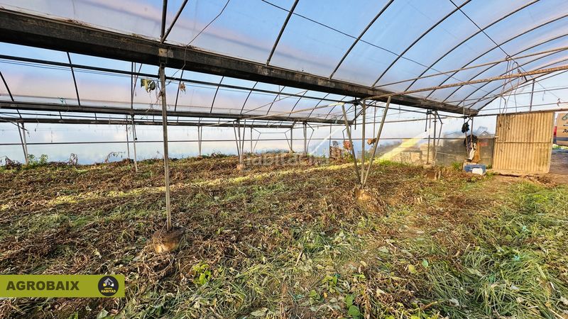 Foto ba59bc66-e64b-4837-bfb1-c79233cf04d9. Rural plot in n/a in Casablanca Sant Boi de Llobregat