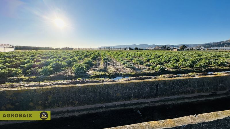 Foto db99df82-45b3-402c-bcba-f0b483d17c46. Rural plot in n/a in Casablanca Sant Boi de Llobregat