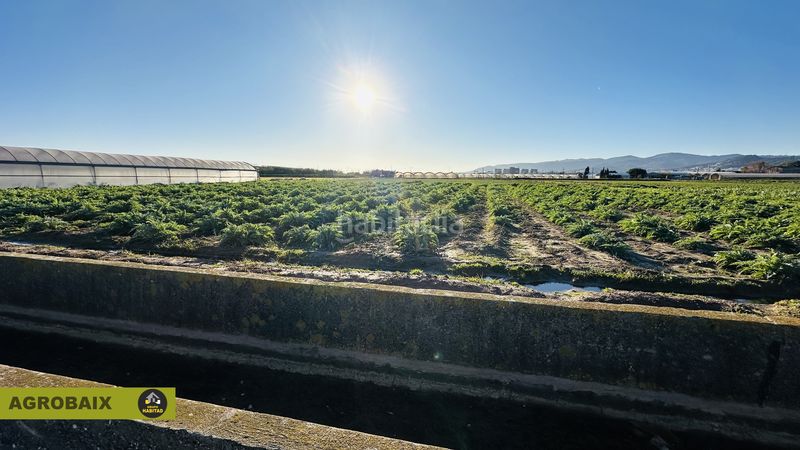 Foto e19ac626-20be-4f76-9b6e-71b7127c6ca7. Rural plot in n/a in Casablanca Sant Boi de Llobregat
