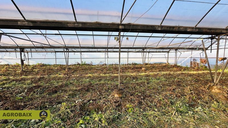 Foto f1e52d64-f822-4a28-a39a-b61f88d224f0. Rural plot in n/a in Casablanca Sant Boi de Llobregat