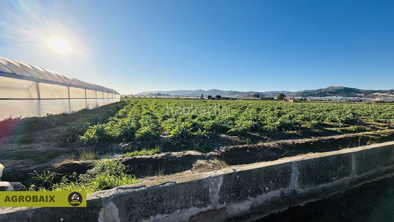 Foto f76179a0-2ce2-4655-b796-994e6fa7c233. Rural plot in n/a in Casablanca Sant Boi de Llobregat