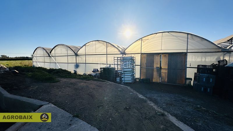 Foto fbd83515-caf8-4a8c-b60c-6cb06f5e06d7. Rural plot in n/a in Casablanca Sant Boi de Llobregat