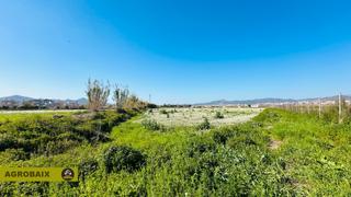 Landgut in Vinyets-Molí Vell