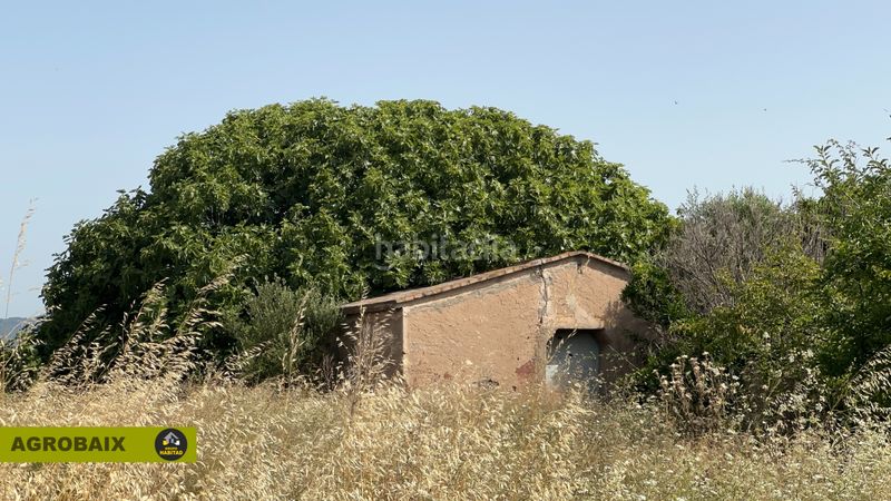Foto 39f5d426-2794-4cbe-bdef-8cec7f7f53b1. Finca rústica a Vinyets-Molí Vell Sant Boi de Llobregat