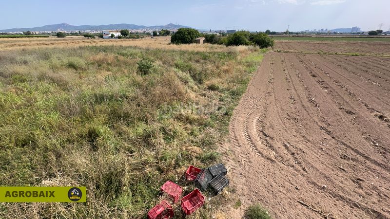 Foto a0f570f0-11a0-44a4-aa5c-d4bf94dd9c45. Finca rústica a Vinyets-Molí Vell Sant Boi de Llobregat