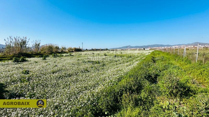 Foto a4ba4484-0b7b-4e02-8c4b-4e00cb1a2c86. Finca rústica a Vinyets-Molí Vell Sant Boi de Llobregat