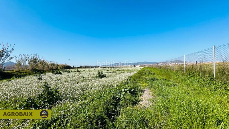 Foto 259a66da-e5b8-413f-a636-e7f9455863ba. Finca rústica en Vinyets-Molí Vell Sant Boi de Llobregat