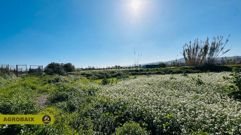 Foto 3b2db421-7627-4add-97e2-9be1ed187e83. Finca rústica en Vinyets-Molí Vell Sant Boi de Llobregat