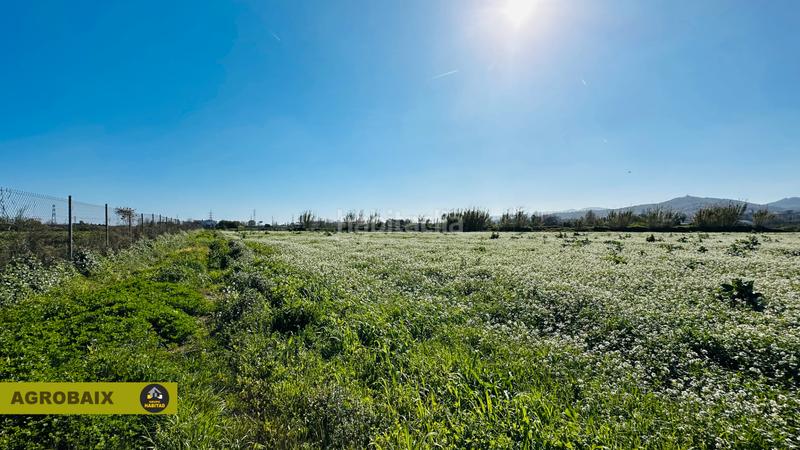 Foto e3933456-1cae-47c4-aa28-03d3aa5a4e0c. Finca rústica en Vinyets-Molí Vell Sant Boi de Llobregat