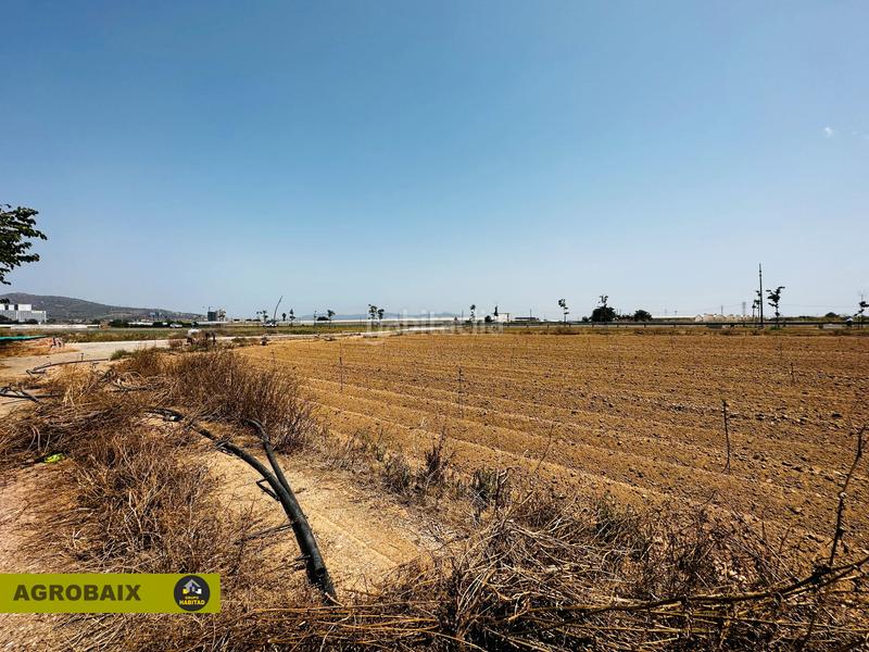Foto 1c8f6f0e-e847-4456-a313-856203e8f02d. Finca rústica excelente ubicacion en Vilamarina Viladecans