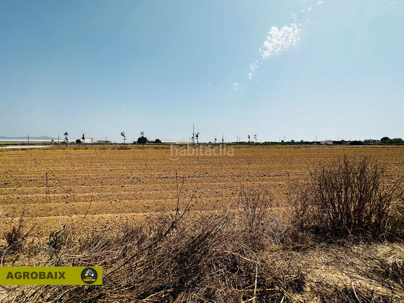 Foto 1fbab6df-5d01-4a2d-b4a7-f9ba94d1a564. Finca rústica excelente ubicacion en Vilamarina Viladecans