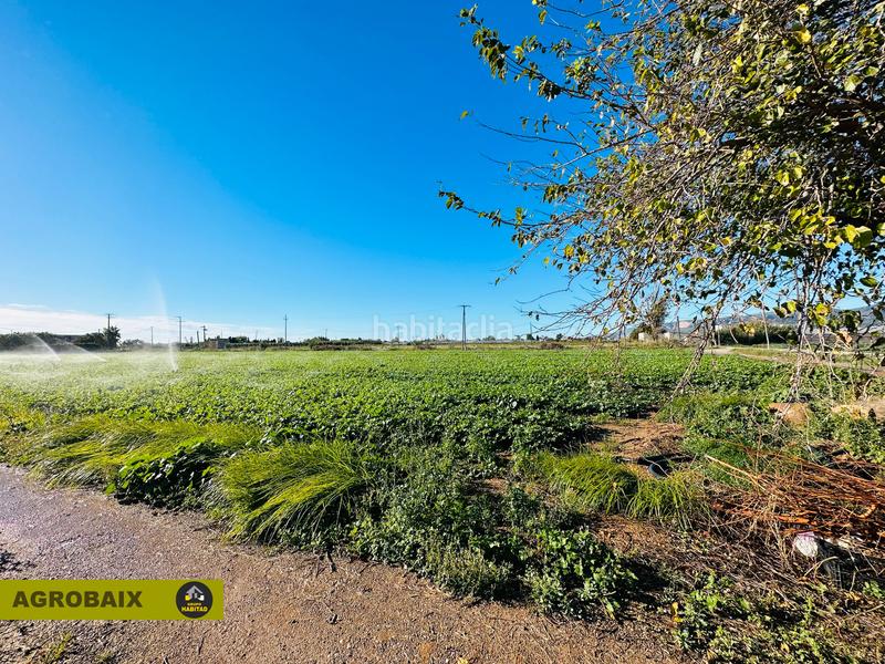 Foto 4377fd8a-4044-43fd-abef-b214d9aed8ec. Finca rústica excelente ubicacion en Vilamarina Viladecans